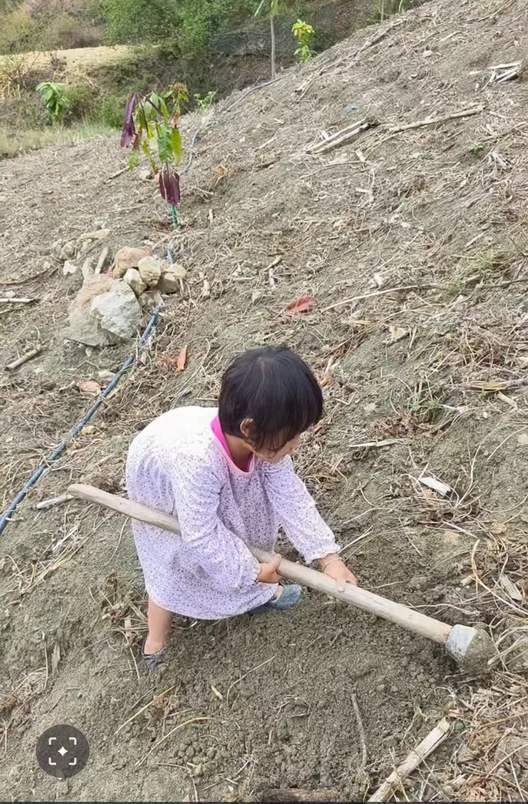 2025年5月田野影像:合作社农事播种场景